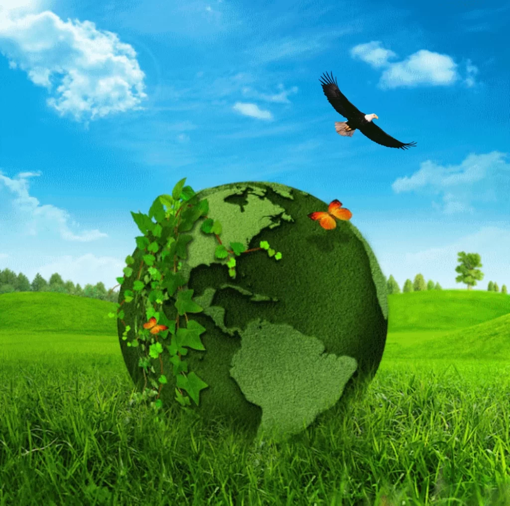 Earth Renewal 2080